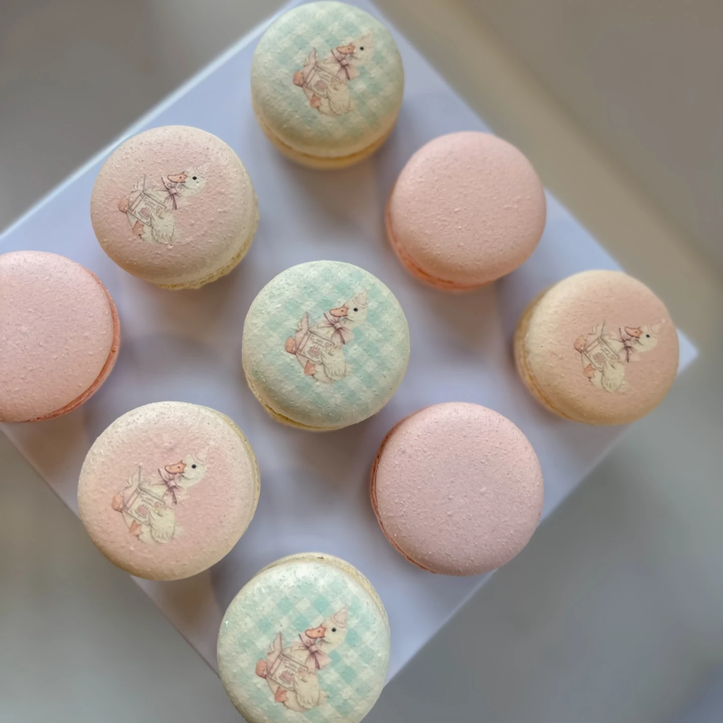 Illustrated Edible Sweet Toppers one silly goose birthday