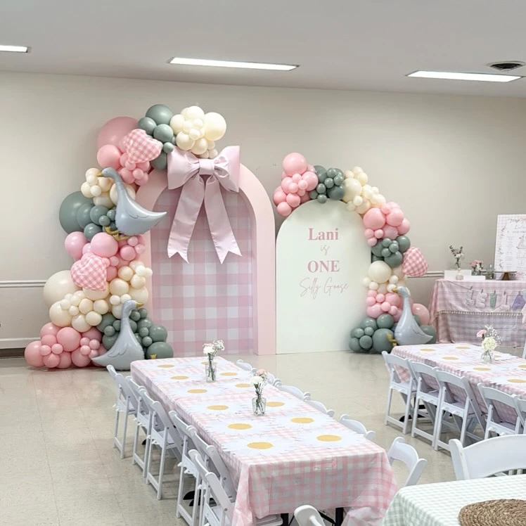 Patterned Arch Backdrop Duo one silly goose birthday