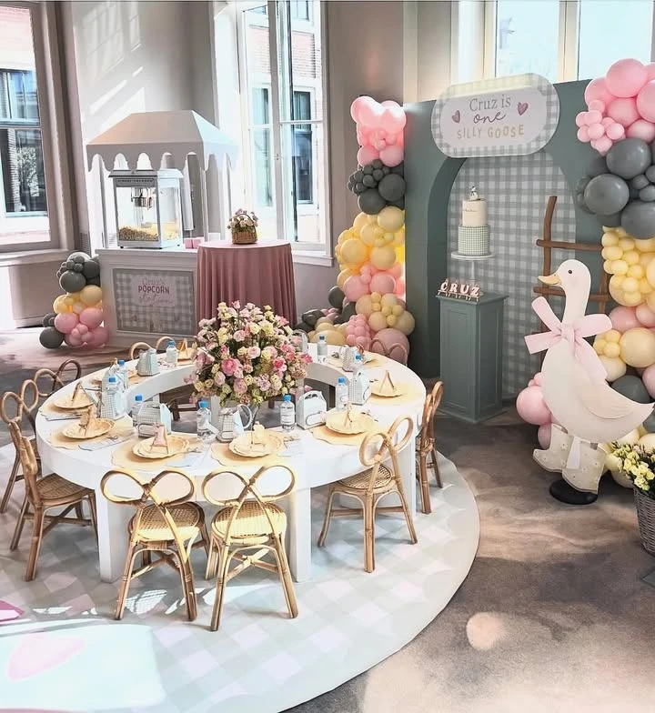 Arched Gingham Backdrop Zone one silly goose birthday